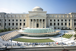 Brooklyn muzeum