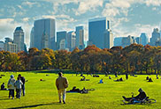 USA, New York, New York City, Central Park with skyline in background