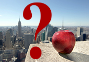 new york nagy alma