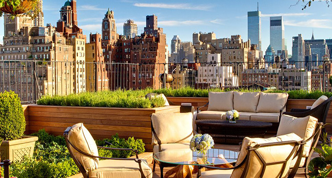 tetőkert new york